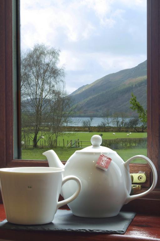 Hotel Dolffanog Fawr à Tal-y-llyn Extérieur photo