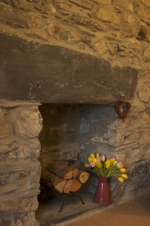 Hotel Dolffanog Fawr à Tal-y-llyn Extérieur photo