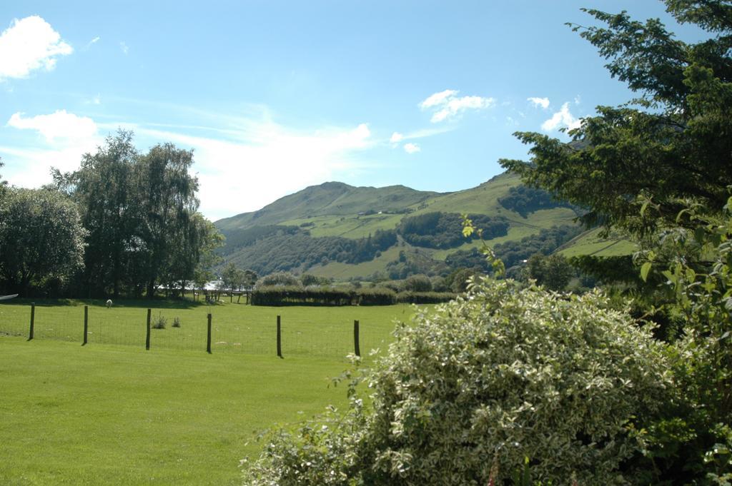 Hotel Dolffanog Fawr à Tal-y-llyn Extérieur photo