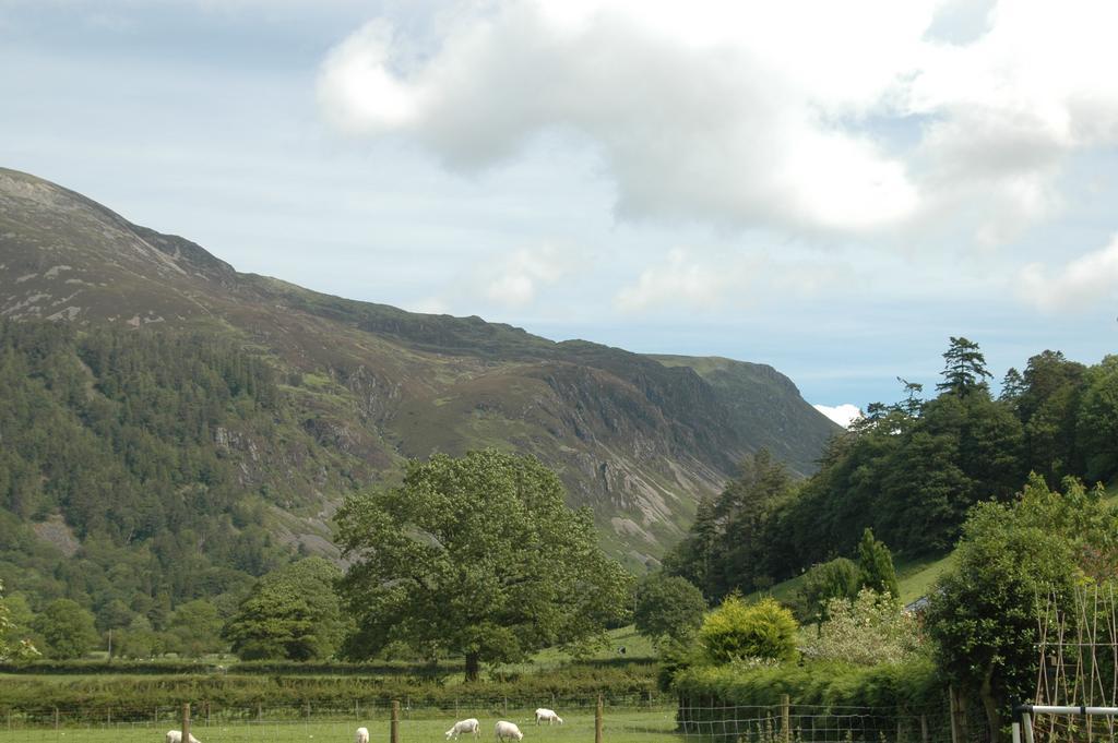 Hotel Dolffanog Fawr à Tal-y-llyn Extérieur photo