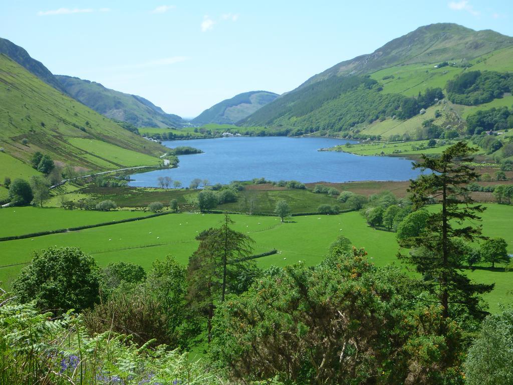 Hotel Dolffanog Fawr à Tal-y-llyn Extérieur photo