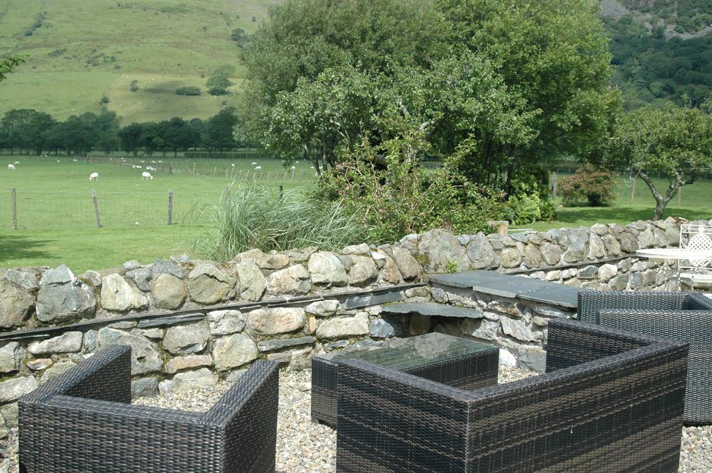 Hotel Dolffanog Fawr à Tal-y-llyn Extérieur photo